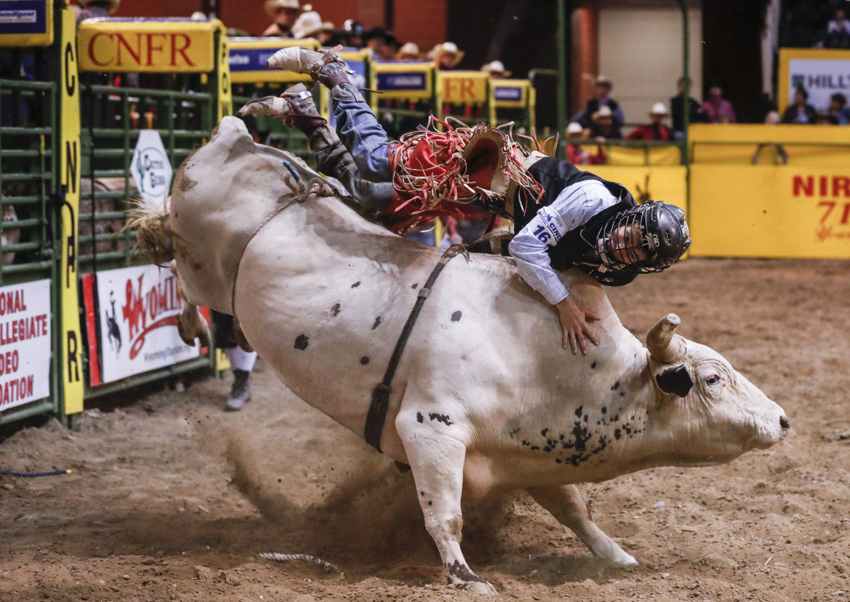 CNFR - day 1